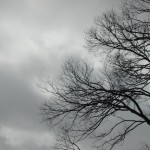 Overcast Weather