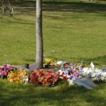 Memorial Trees with Flowers